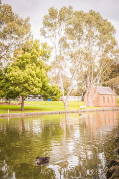Deakin Units